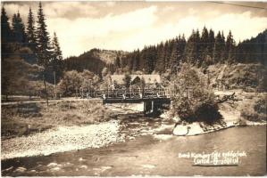 1929 Palotailva, Lunca Bradului; Báró Kemény-féle erdészlak, híd / foresters house, bridge. photo