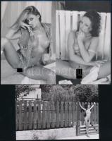 cca 1992 A fantázia szabadsága, 13 db szolidan erotikus, mai nagyítás, 15x10 cm / 13 erotic photos