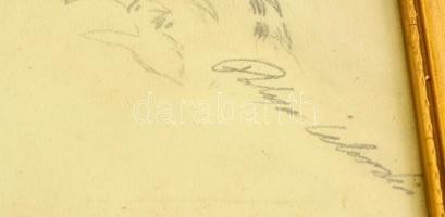 Pállya jelzéssel: Asszony portré. Ceruza, papír, üvegezett keretben, 23×17 cm