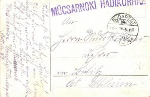 Budapest XIV. Városliget, Vajda Hunyad vára, litho + Műcsarnoki Hadikórház pecsét a hátoldalon (fa)