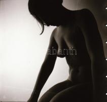 cca 1950 Szobából a természetbe, 13 db szolidan erotikus vintage negatív, 6x6 cm