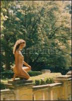 cca 1973 Szolidan erotikus vintage fotók tétele, 13 db fénykép, 11x7 cm és 27x19 cm között / 13 erotic photos
