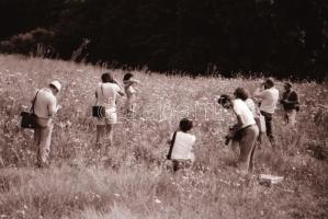 cca 1975 Hegyek, völgyek között..., szolidan erotikus felvételek, 36 db vintage negatív, 24x36 mm