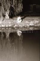 cca 1974 A gyulai vár éjszakai látogatója, szolidan erotikus felvételek, 29 db vintage negatív, 24x3...