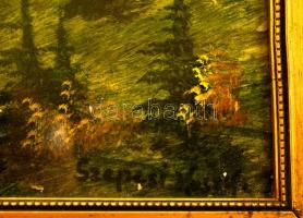 Szepesi jelzéssel: Alpesi táj. Gouache, papír, üvegezett keretben, 16×22 cm