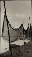 cca 1958 Juhász Albin (?-?) kecskeméti fotóművész hagyatékából pecséttel jelzett vintage alkotás, 37x21,5 cm