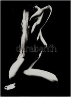 cca 1978 Aktfotók, 4 db vintage fénykép, egy jelzett, egy kasírozott, 40x30 cm 29x19 cm között