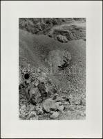 cca 1978 Aktfotók, 4 db vintage fénykép, egy jelzett, egy kasírozott, 40x30 cm 29x19 cm között