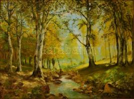 Reinprecht Károly (1903-?): Erdei patak. Olaj, vászon, jelzett, sérült keretben, 60×80 cm
