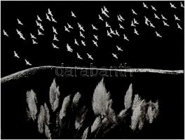 cca 1976 Gebhardt György (1910-1993) budapesti fotóművész hagyatékából 2 db vintage fotó, az egyik f...