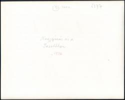 1932 Nagyszénás és a Sasok Otthona Turistaház látképe, hátoldalon feliratozott fotó, 18x22 cm