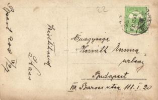 1908 Budapest, teniszező társaság kutyákkal. photo