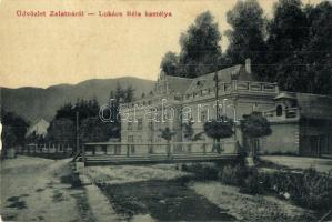Zalatna, Zlatna; Lukács Béla kastély. W. L. 3198. / castle (EK)