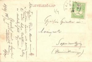 Zalatna, Zlatna; Lukács Béla kastély. W. L. 3198. / castle (EK)