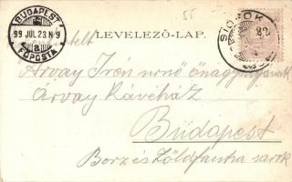 1899 Siófok, Hajó kikötő, gőzhajó. Weiss L. és F. (EK)