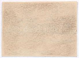 Budapest 1937. "Jubiláris Mezőgazdasági és Állattenyésztési kiállítás és vásár Makón" hami...