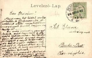 1906 Debrecen, Vár utca 8. Suhajda udvar. photo