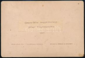 1887 A szepesbélai(Felvidék) cseppkőbarlang, Divald Károly feliratozott, keményhátú fotója, 16x11 cm...