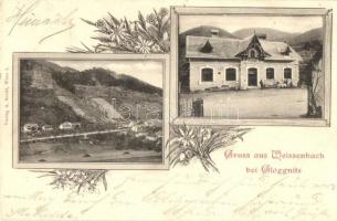 Weissenbach bei Gloggnitz, Wegererhof, Gustav Kaiser Restauration / restaurant. Art Nouveau, floral