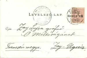 1899 Budapest VI. Váci körút, villamos, földalatti megállóhely. Walter Haertel kiadása (kis szakadás...