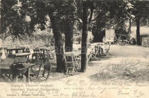 Budapest XII. Zugliget, Disznófő vendéglő, étterem. Schwarcz J. kiadása (fa)