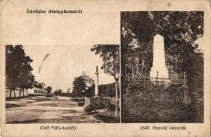 Alsónyárasd, Dolné Topolníky; Gróf Pálfy kastély, 1849-es Honvéd síremlék / castle, military heroes monument (Rb)