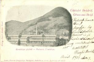 Gurabárza, Barza, Gura-Barza (Brád); arany zúzómű / Pochwerk / gold mine plant, factory