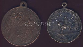 1896. 2db klf milleniumi Br emlékérem T:3,3/4+