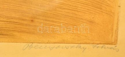 Benyovszky István (1898-1969): Csíkos. Színezett rézkarc, papír, jelzett, üvegezett keretben, 50×35 ...