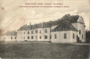 Temesvár, Timisoara; Józsefváros, Iskolanővérek zárdája, Mária otthon és szanatórium / nunnery, home and sanatorium (felszíni sérülés / surface damage)