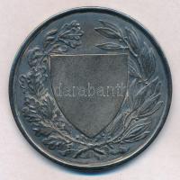 Berán Lajos (1882-1943) 1926. "Országos Testnevelési Tanács" ezüstözött Br érem, fémjel a ...