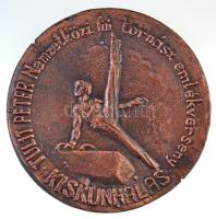 DN "Tulit Péter Nemzetközi fiú tornász emlékverseny, Kiskunhalas" kétoldallas Br plakett (...