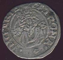 1565. Denár Ag Miksa ÉH766a T:3+