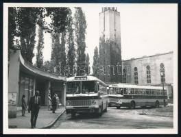 cca 1930-1970 Budapest, Az 5-ös, 7-es és 9-es buszok forgalomban, 2 db későbbi előhívás és egy korabeli fotó, 9,5x12 cm