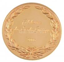 2006. "Magyar Sporttudományért Aranyplakett - Magyar Sporttudományi Társaság 1996" kétolda...