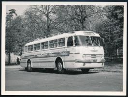 MÁVAUT ( 1 db Ibusz Citybusz) autóbuszok, közte Ikarusz típusúak Budapesten, 5 db fotó, eredeti és k...