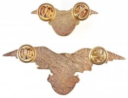 DN "A Turul Őrzője" aranyozott, zománcozott jelvény (2x) klf méretben (30x76mm és 18,5x42m...