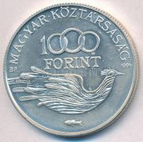1994. 1000Ft Ag "Védd a világot!" T:BU 
Adamo EM138