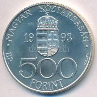 1993. 500Ft Ag "Expo 96 Budapest" T:1 Adamo EM131