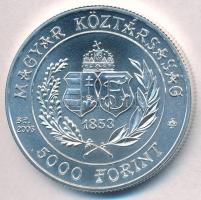 2003. 5000Ft Ag "Budapesti Filharmóniai Társaság" T:BU
Adamo EM187