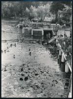 1967 és 1970 Járai Rudolf (1913-1993) budapesti fotóriporter 2 db vintage fotója a hévízi gyógytóról...