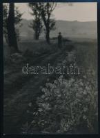 cca 1939 Dulovits Jenő (1903-1972) budapesti fotóművész hagyatékából 3 db vintage fotó, pecséttel je...