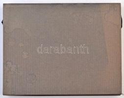 Éremtartó kazetta egy kivehető tálcával, összesen 24 férőhellyel, használt állapotban