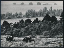 cca 1971 Aratás, Gebhardt György (1910-1993) budapesti fotóművész hagyatékából 3 db vintage fénykép,...