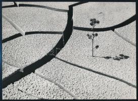 cca 1973 Gebhardt György (1910-1993) budapesti fotóművész hagyatékából 3 db vintage fénykép, az egyi...