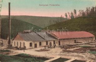 Székpatak, Secu (Maroshévíz, Toplita); Fűrésztelep. Láng Zoltán felvétele / sawmill (EK)