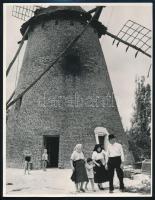 cca 1960 Szélmalmok, 4 db fotó, 24x18 cm és 10x15 cm között / windmills
