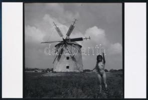 cca 1960 Szélmalmok, 4 db fotó, 24x18 cm és 10x15 cm között / windmills