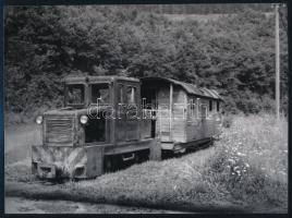cca 1960 Erdei kisvasutak, 2 db fotó, az egyik vintage, a másik mai nagyítás, 13x18 cm és 18x24 cm