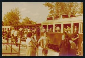 cca 1960 Budapest, Úttörő vasút, 6 db fotó + 3 db képeslap, 6x9 cm és 18x25 cm között
